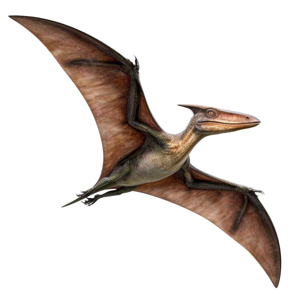 Pteranodon